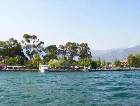 Köyceğiz Lake Boat Tour